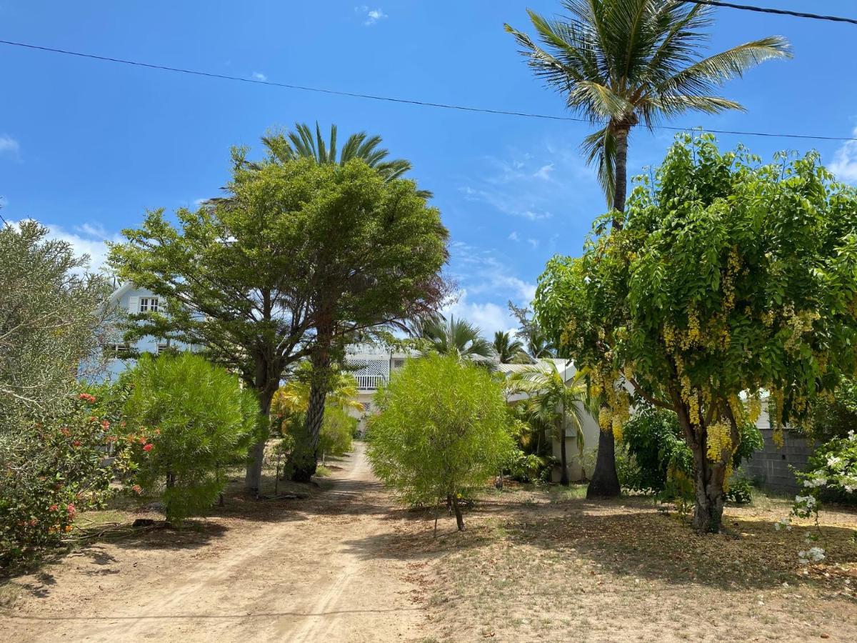 Villa & Bungalow 'Coco Des Sables' Les Pieds Dans L'Eau La Saline Le Bains Εξωτερικό φωτογραφία